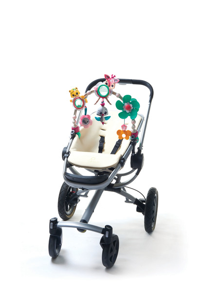 Розвиваюча дуга "Мрії Принцеси"