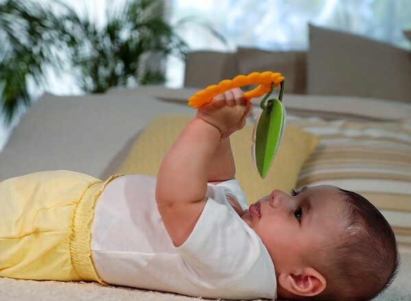 Подарунковий набір "Весела галявина"